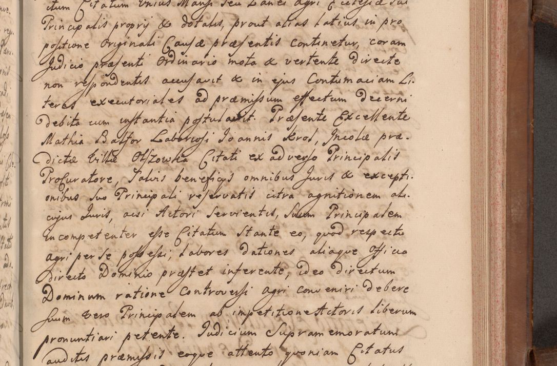 Zdjęcie nr 334 dla obiektu archiwalnego: Volumen VII actorum episcopalium Joannis Małachowski, episcopi Cracoviensis, ducis Severiae de anno 1694 - 1696, quorum index ad finem videatur