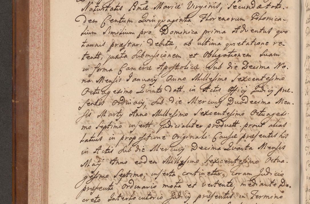 Zdjęcie nr 319 dla obiektu archiwalnego: Volumen VII actorum episcopalium Joannis Małachowski, episcopi Cracoviensis, ducis Severiae de anno 1694 - 1696, quorum index ad finem videatur