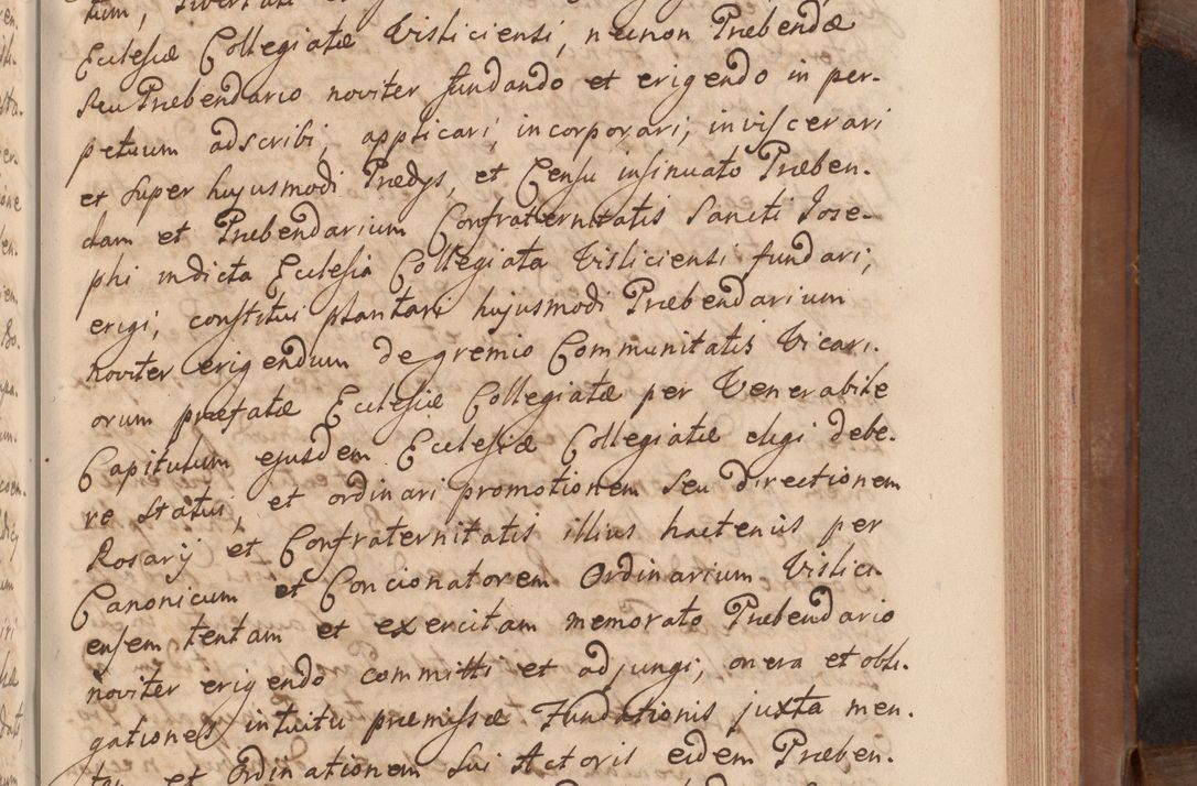 Zdjęcie nr 298 dla obiektu archiwalnego: Volumen VII actorum episcopalium Joannis Małachowski, episcopi Cracoviensis, ducis Severiae de anno 1694 - 1696, quorum index ad finem videatur