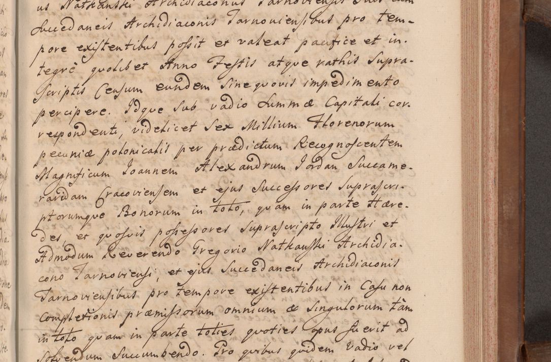 Zdjęcie nr 290 dla obiektu archiwalnego: Volumen VII actorum episcopalium Joannis Małachowski, episcopi Cracoviensis, ducis Severiae de anno 1694 - 1696, quorum index ad finem videatur