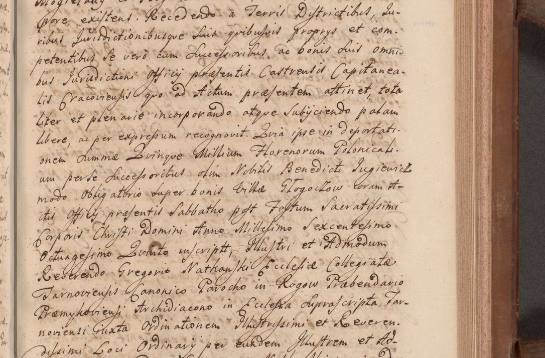 Zdjęcie nr 286 dla obiektu archiwalnego: Volumen VII actorum episcopalium Joannis Małachowski, episcopi Cracoviensis, ducis Severiae de anno 1694 - 1696, quorum index ad finem videatur