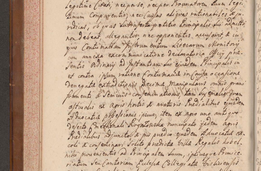 Zdjęcie nr 251 dla obiektu archiwalnego: Volumen VII actorum episcopalium Joannis Małachowski, episcopi Cracoviensis, ducis Severiae de anno 1694 - 1696, quorum index ad finem videatur