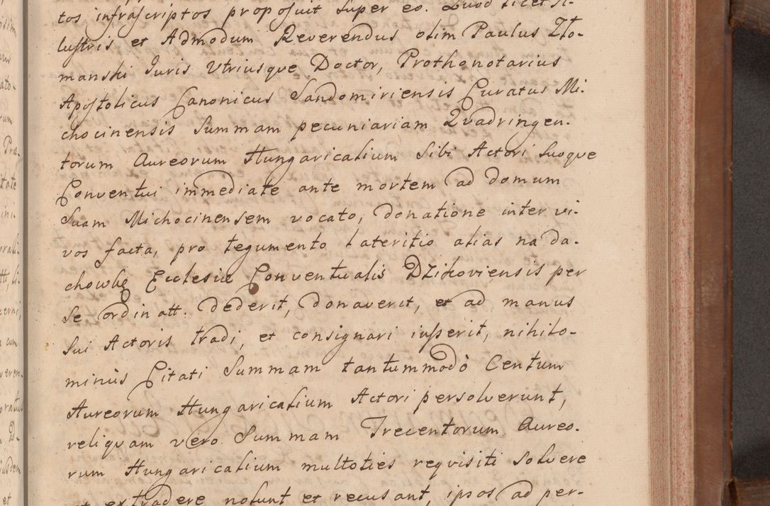 Zdjęcie nr 234 dla obiektu archiwalnego: Volumen VII actorum episcopalium Joannis Małachowski, episcopi Cracoviensis, ducis Severiae de anno 1694 - 1696, quorum index ad finem videatur