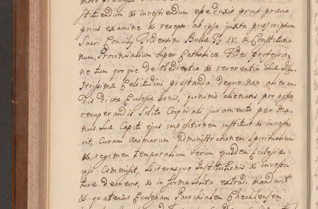 Zdjęcie nr 529 dla obiektu archiwalnego: Volumen VII actorum episcopalium Joannis Małachowski, episcopi Cracoviensis, ducis Severiae de anno 1694 - 1696, quorum index ad finem videatur