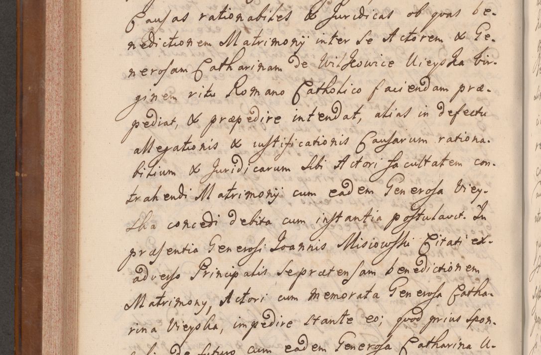 Zdjęcie nr 513 dla obiektu archiwalnego: Volumen VII actorum episcopalium Joannis Małachowski, episcopi Cracoviensis, ducis Severiae de anno 1694 - 1696, quorum index ad finem videatur