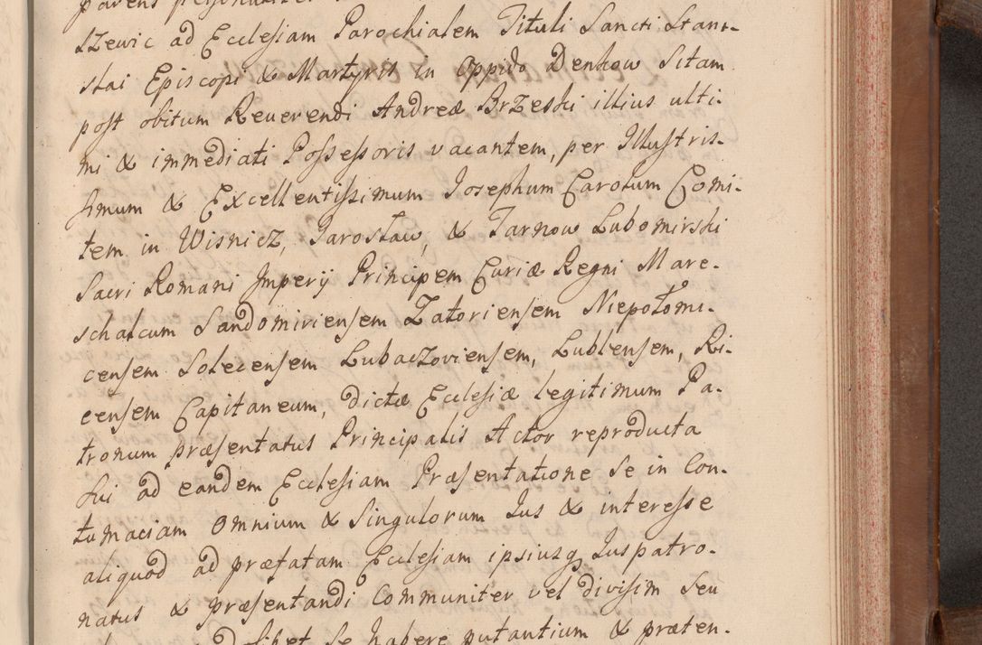 Zdjęcie nr 498 dla obiektu archiwalnego: Volumen VII actorum episcopalium Joannis Małachowski, episcopi Cracoviensis, ducis Severiae de anno 1694 - 1696, quorum index ad finem videatur