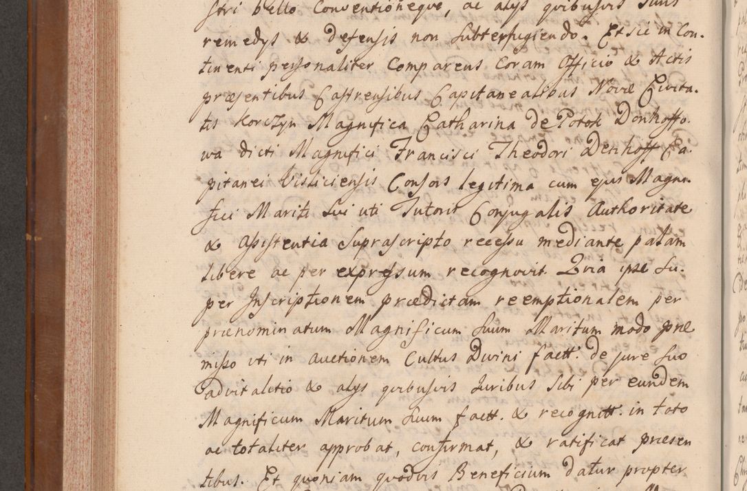Zdjęcie nr 423 dla obiektu archiwalnego: Volumen VII actorum episcopalium Joannis Małachowski, episcopi Cracoviensis, ducis Severiae de anno 1694 - 1696, quorum index ad finem videatur