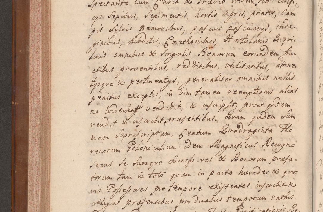 Zdjęcie nr 419 dla obiektu archiwalnego: Volumen VII actorum episcopalium Joannis Małachowski, episcopi Cracoviensis, ducis Severiae de anno 1694 - 1696, quorum index ad finem videatur