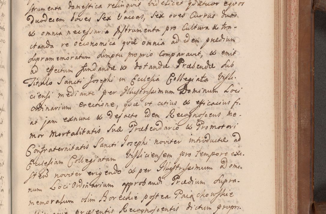 Zdjęcie nr 410 dla obiektu archiwalnego: Volumen VII actorum episcopalium Joannis Małachowski, episcopi Cracoviensis, ducis Severiae de anno 1694 - 1696, quorum index ad finem videatur