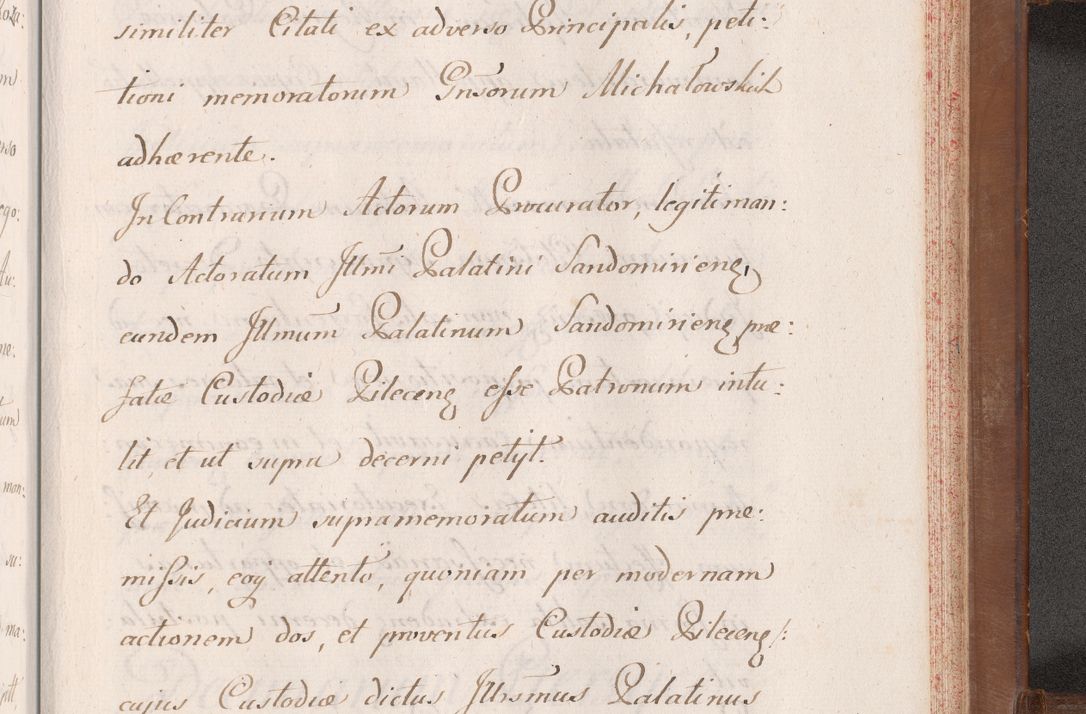 Zdjęcie nr 908 dla obiektu archiwalnego: Volumen VII actorum episcopalium Joannis Małachowski, episcopi Cracoviensis, ducis Severiae de anno 1694 - 1696, quorum index ad finem videatur