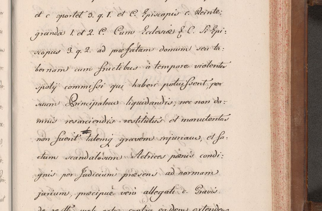 Zdjęcie nr 816 dla obiektu archiwalnego: Volumen VII actorum episcopalium Joannis Małachowski, episcopi Cracoviensis, ducis Severiae de anno 1694 - 1696, quorum index ad finem videatur