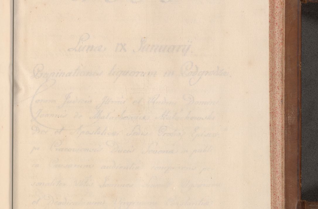 Zdjęcie nr 808 dla obiektu archiwalnego: Volumen VII actorum episcopalium Joannis Małachowski, episcopi Cracoviensis, ducis Severiae de anno 1694 - 1696, quorum index ad finem videatur