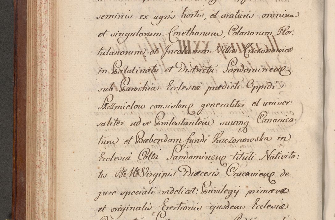 Zdjęcie nr 294 dla obiektu archiwalnego: Volumen VI actorum episcopalium R. D. Joannis Małachowski, episcopi Cracoviensis, ducis Severiae de anno 1692 et 1693, quorum index ad finem videatur