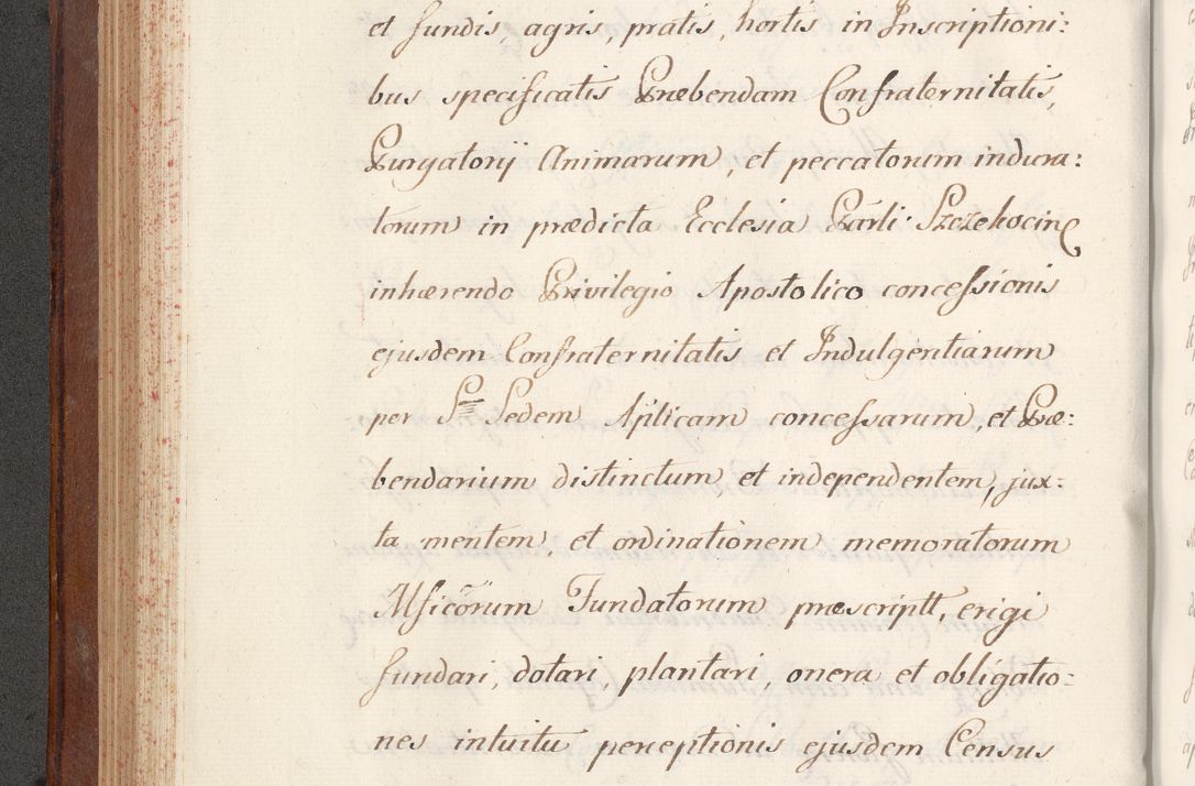 Zdjęcie nr 224 dla obiektu archiwalnego: Volumen VI actorum episcopalium R. D. Joannis Małachowski, episcopi Cracoviensis, ducis Severiae de anno 1692 et 1693, quorum index ad finem videatur
