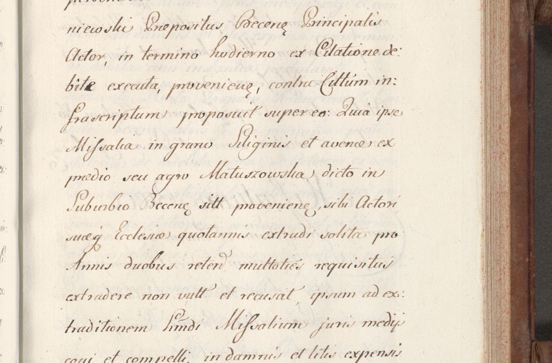 Zdjęcie nr 211 dla obiektu archiwalnego: Volumen VI actorum episcopalium R. D. Joannis Małachowski, episcopi Cracoviensis, ducis Severiae de anno 1692 et 1693, quorum index ad finem videatur