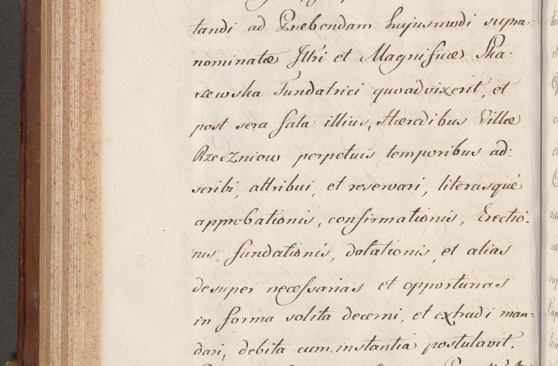 Zdjęcie nr 520 dla obiektu archiwalnego: Volumen VI actorum episcopalium R. D. Joannis Małachowski, episcopi Cracoviensis, ducis Severiae de anno 1692 et 1693, quorum index ad finem videatur