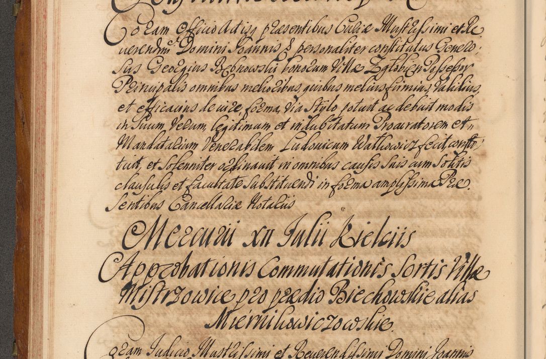 Zdjęcie nr 195 dla obiektu archiwalnego: Volumen V actorum episcopalium R. D. Joannis Małachowski, episcopi Cracoviensis, ducis Severiae per annos 1690 et 1691 acticatorum, quorum index ad finem praesentis voluminis exhibetur adnotatus