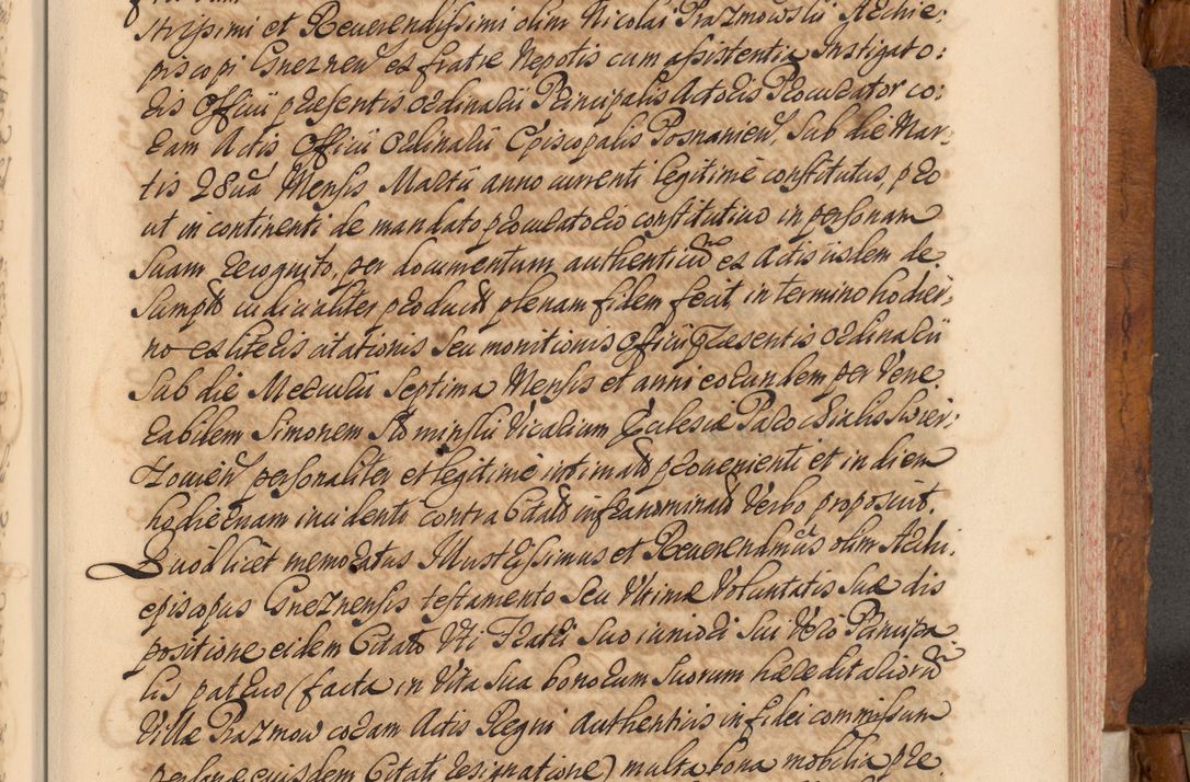 Zdjęcie nr 188 dla obiektu archiwalnego: Volumen V actorum episcopalium R. D. Joannis Małachowski, episcopi Cracoviensis, ducis Severiae per annos 1690 et 1691 acticatorum, quorum index ad finem praesentis voluminis exhibetur adnotatus