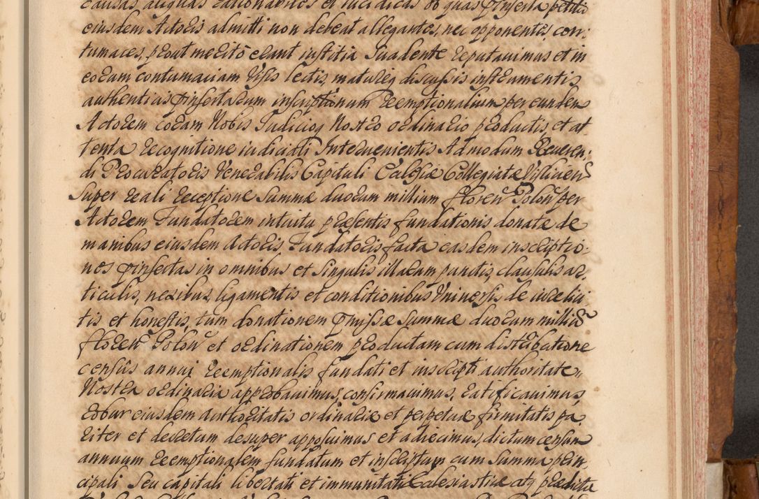 Zdjęcie nr 142 dla obiektu archiwalnego: Volumen V actorum episcopalium R. D. Joannis Małachowski, episcopi Cracoviensis, ducis Severiae per annos 1690 et 1691 acticatorum, quorum index ad finem praesentis voluminis exhibetur adnotatus