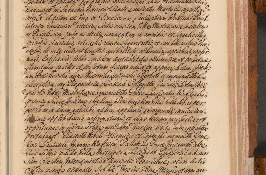 Zdjęcie nr 92 dla obiektu archiwalnego: Volumen V actorum episcopalium R. D. Joannis Małachowski, episcopi Cracoviensis, ducis Severiae per annos 1690 et 1691 acticatorum, quorum index ad finem praesentis voluminis exhibetur adnotatus