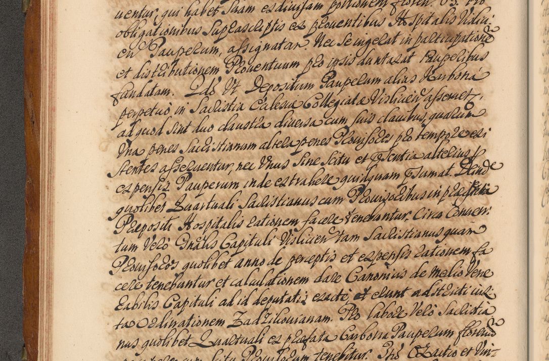 Zdjęcie nr 89 dla obiektu archiwalnego: Volumen V actorum episcopalium R. D. Joannis Małachowski, episcopi Cracoviensis, ducis Severiae per annos 1690 et 1691 acticatorum, quorum index ad finem praesentis voluminis exhibetur adnotatus