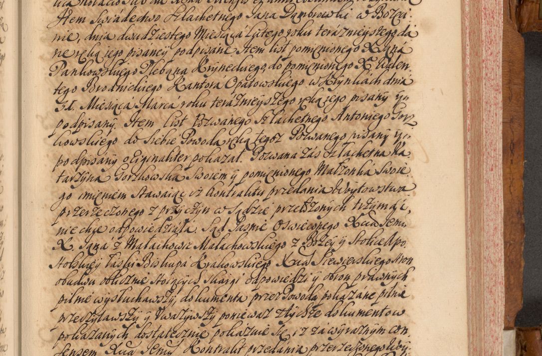 Zdjęcie nr 52 dla obiektu archiwalnego: Volumen V actorum episcopalium R. D. Joannis Małachowski, episcopi Cracoviensis, ducis Severiae per annos 1690 et 1691 acticatorum, quorum index ad finem praesentis voluminis exhibetur adnotatus