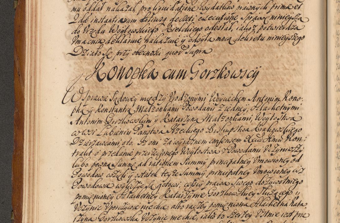 Zdjęcie nr 51 dla obiektu archiwalnego: Volumen V actorum episcopalium R. D. Joannis Małachowski, episcopi Cracoviensis, ducis Severiae per annos 1690 et 1691 acticatorum, quorum index ad finem praesentis voluminis exhibetur adnotatus
