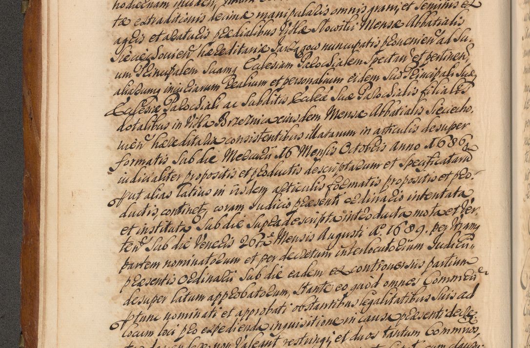 Zdjęcie nr 17 dla obiektu archiwalnego: Volumen V actorum episcopalium R. D. Joannis Małachowski, episcopi Cracoviensis, ducis Severiae per annos 1690 et 1691 acticatorum, quorum index ad finem praesentis voluminis exhibetur adnotatus