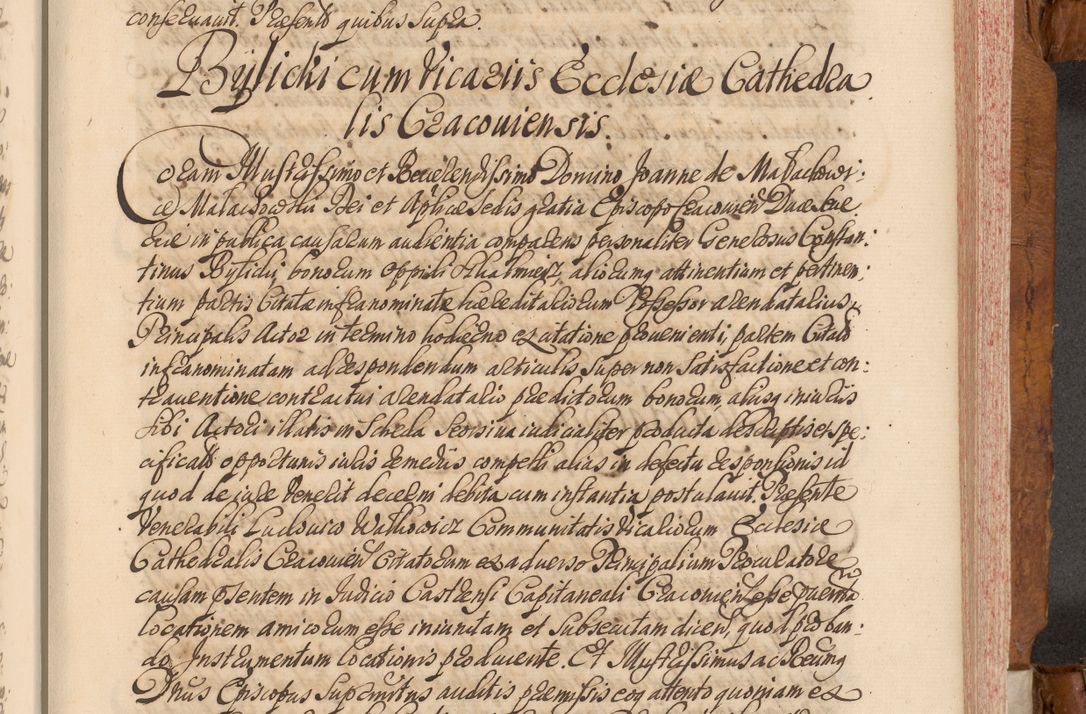 Zdjęcie nr 368 dla obiektu archiwalnego: Volumen V actorum episcopalium R. D. Joannis Małachowski, episcopi Cracoviensis, ducis Severiae per annos 1690 et 1691 acticatorum, quorum index ad finem praesentis voluminis exhibetur adnotatus