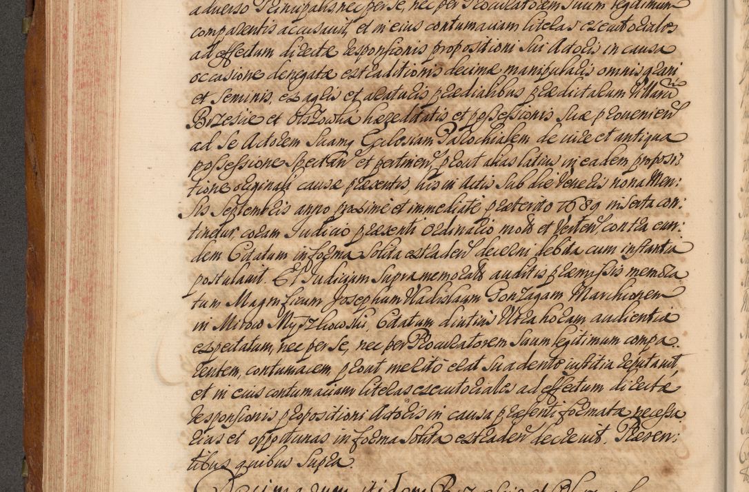 Zdjęcie nr 317 dla obiektu archiwalnego: Volumen V actorum episcopalium R. D. Joannis Małachowski, episcopi Cracoviensis, ducis Severiae per annos 1690 et 1691 acticatorum, quorum index ad finem praesentis voluminis exhibetur adnotatus