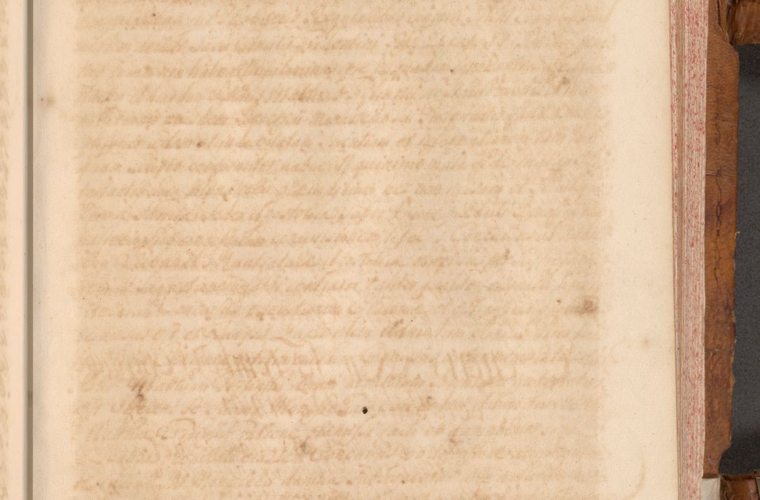 Zdjęcie nr 300 dla obiektu archiwalnego: Volumen V actorum episcopalium R. D. Joannis Małachowski, episcopi Cracoviensis, ducis Severiae per annos 1690 et 1691 acticatorum, quorum index ad finem praesentis voluminis exhibetur adnotatus