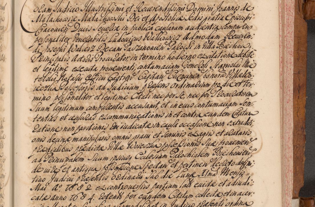 Zdjęcie nr 294 dla obiektu archiwalnego: Volumen V actorum episcopalium R. D. Joannis Małachowski, episcopi Cracoviensis, ducis Severiae per annos 1690 et 1691 acticatorum, quorum index ad finem praesentis voluminis exhibetur adnotatus