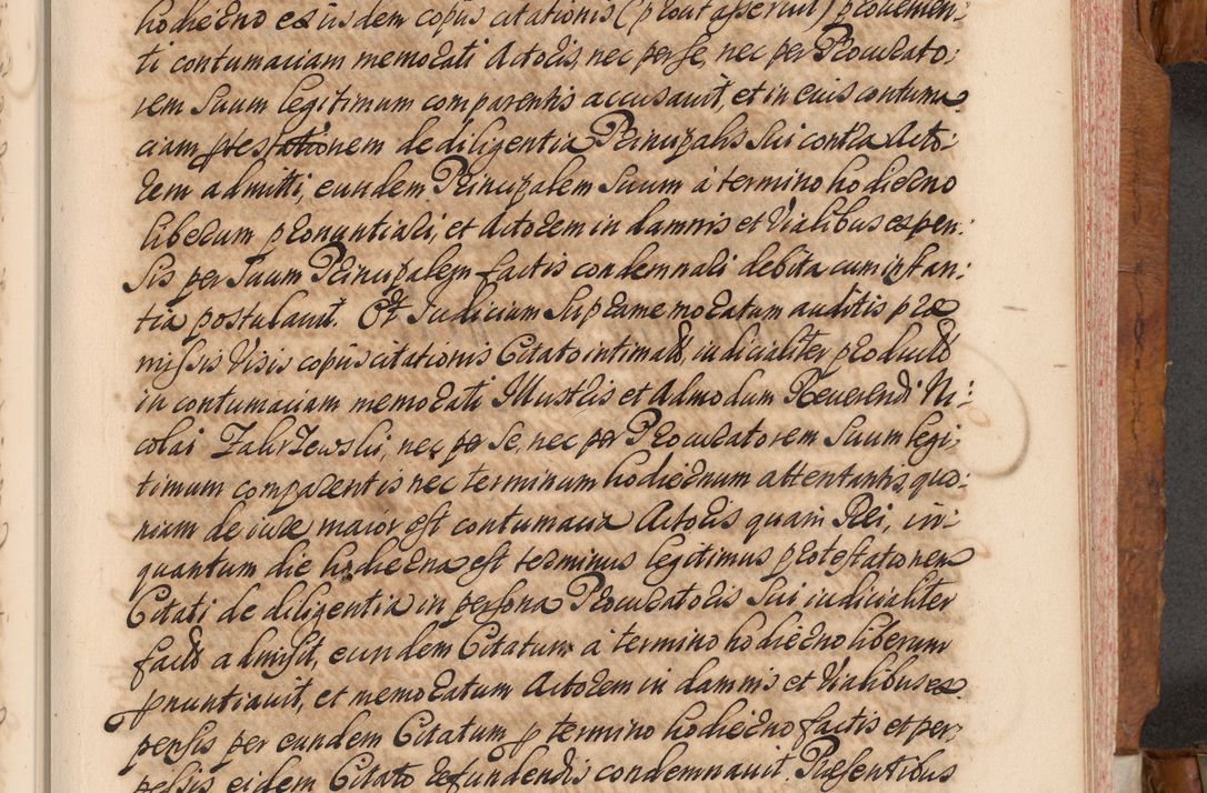 Zdjęcie nr 254 dla obiektu archiwalnego: Volumen V actorum episcopalium R. D. Joannis Małachowski, episcopi Cracoviensis, ducis Severiae per annos 1690 et 1691 acticatorum, quorum index ad finem praesentis voluminis exhibetur adnotatus