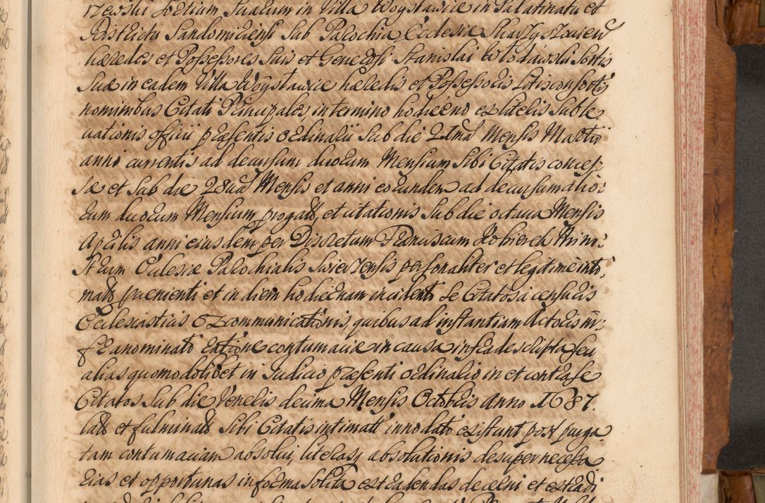 Zdjęcie nr 220 dla obiektu archiwalnego: Volumen V actorum episcopalium R. D. Joannis Małachowski, episcopi Cracoviensis, ducis Severiae per annos 1690 et 1691 acticatorum, quorum index ad finem praesentis voluminis exhibetur adnotatus