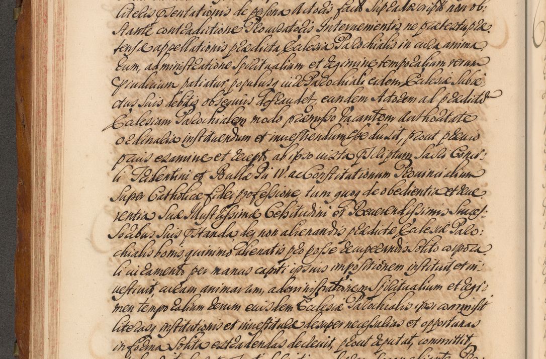 Zdjęcie nr 215 dla obiektu archiwalnego: Volumen V actorum episcopalium R. D. Joannis Małachowski, episcopi Cracoviensis, ducis Severiae per annos 1690 et 1691 acticatorum, quorum index ad finem praesentis voluminis exhibetur adnotatus