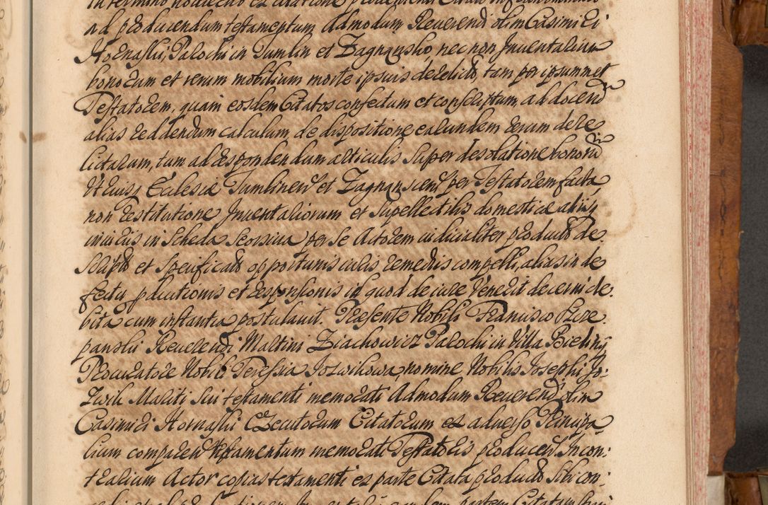 Zdjęcie nr 210 dla obiektu archiwalnego: Volumen V actorum episcopalium R. D. Joannis Małachowski, episcopi Cracoviensis, ducis Severiae per annos 1690 et 1691 acticatorum, quorum index ad finem praesentis voluminis exhibetur adnotatus