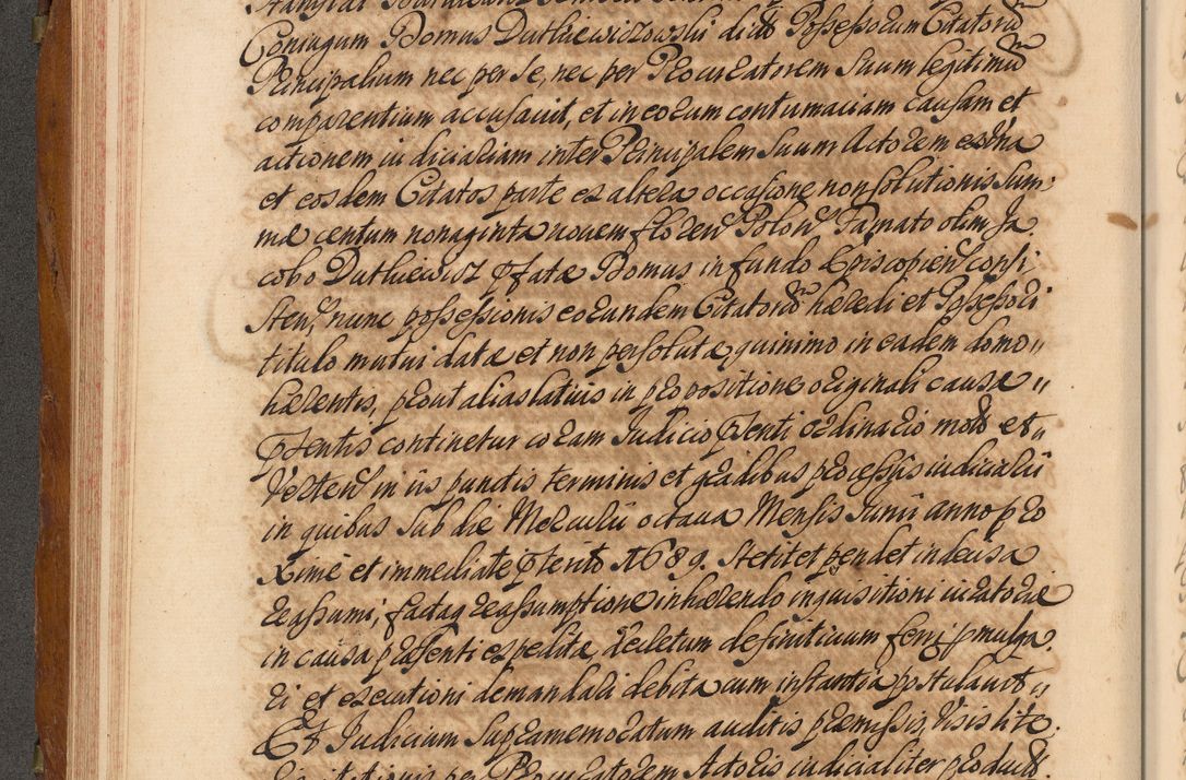 Zdjęcie nr 209 dla obiektu archiwalnego: Volumen V actorum episcopalium R. D. Joannis Małachowski, episcopi Cracoviensis, ducis Severiae per annos 1690 et 1691 acticatorum, quorum index ad finem praesentis voluminis exhibetur adnotatus