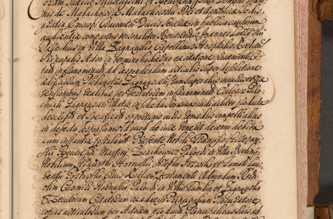 Zdjęcie nr 208 dla obiektu archiwalnego: Volumen V actorum episcopalium R. D. Joannis Małachowski, episcopi Cracoviensis, ducis Severiae per annos 1690 et 1691 acticatorum, quorum index ad finem praesentis voluminis exhibetur adnotatus