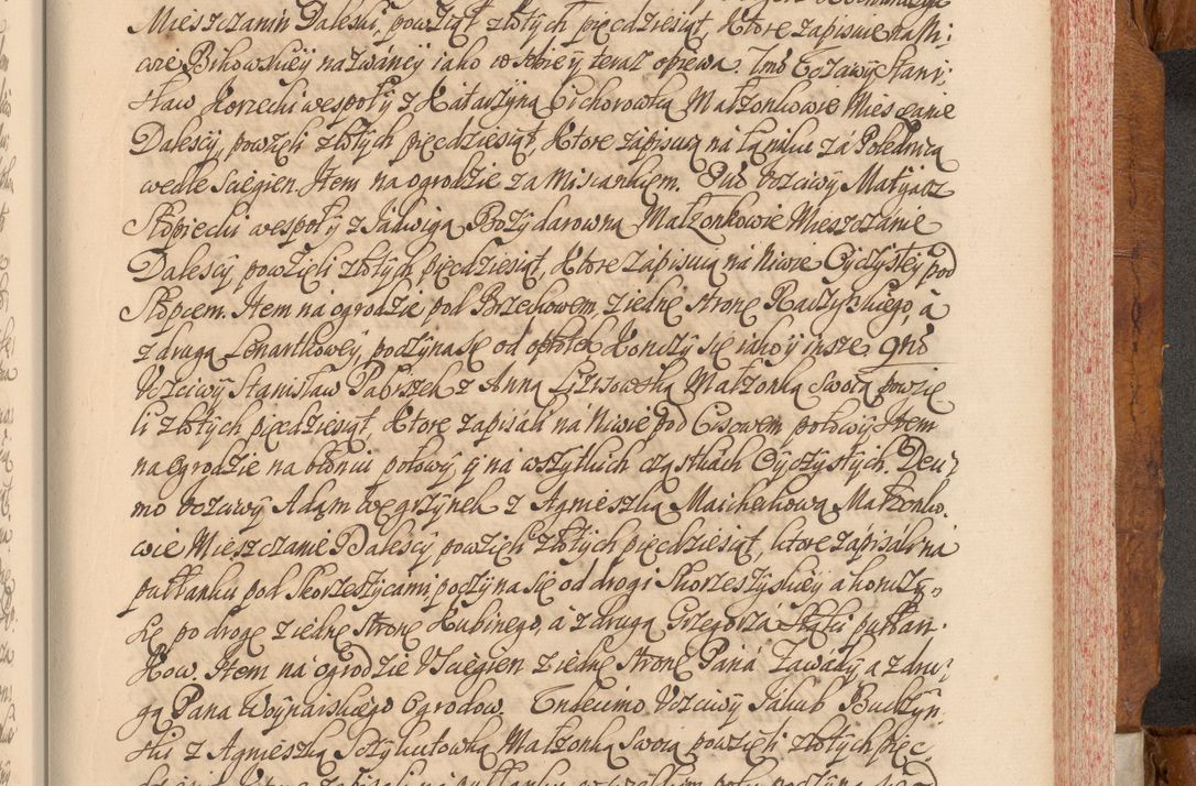 Zdjęcie nr 564 dla obiektu archiwalnego: Volumen V actorum episcopalium R. D. Joannis Małachowski, episcopi Cracoviensis, ducis Severiae per annos 1690 et 1691 acticatorum, quorum index ad finem praesentis voluminis exhibetur adnotatus