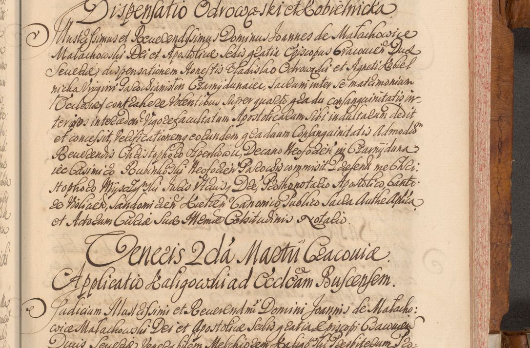Zdjęcie nr 494 dla obiektu archiwalnego: Volumen V actorum episcopalium R. D. Joannis Małachowski, episcopi Cracoviensis, ducis Severiae per annos 1690 et 1691 acticatorum, quorum index ad finem praesentis voluminis exhibetur adnotatus