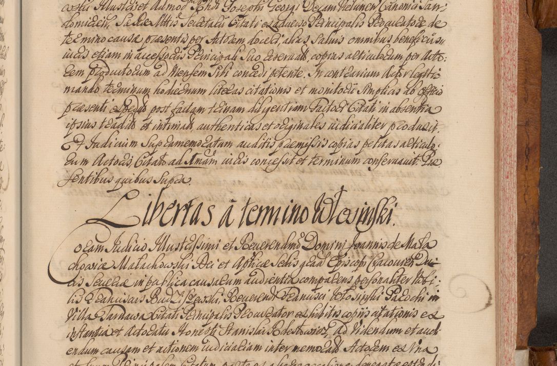 Zdjęcie nr 480 dla obiektu archiwalnego: Volumen V actorum episcopalium R. D. Joannis Małachowski, episcopi Cracoviensis, ducis Severiae per annos 1690 et 1691 acticatorum, quorum index ad finem praesentis voluminis exhibetur adnotatus