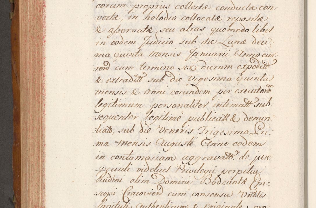 Zdjęcie nr 713 dla obiektu archiwalnego: Volumen V actorum episcopalium R. D. Joannis Małachowski, episcopi Cracoviensis, ducis Severiae per annos 1690 et 1691 acticatorum, quorum index ad finem praesentis voluminis exhibetur adnotatus