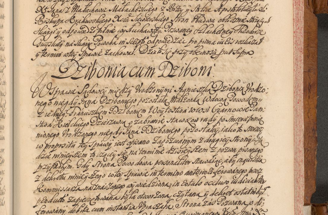 Zdjęcie nr 654 dla obiektu archiwalnego: Volumen V actorum episcopalium R. D. Joannis Małachowski, episcopi Cracoviensis, ducis Severiae per annos 1690 et 1691 acticatorum, quorum index ad finem praesentis voluminis exhibetur adnotatus
