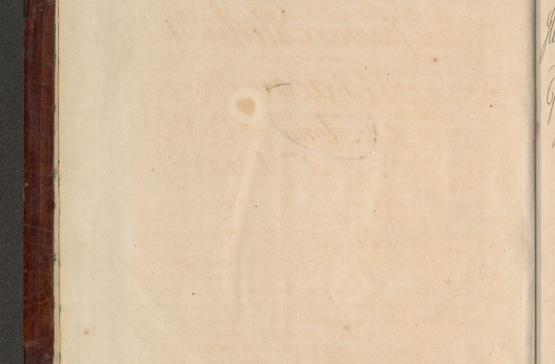 Zdjęcie nr 5 dla obiektu archiwalnego: Acta actorum episcopalium R. D. Joannis a Małachowice Małachowski, episcopi Cracoviensis a die 16 Julii anni 1688 et 1689 acticatorum. Volumen IV