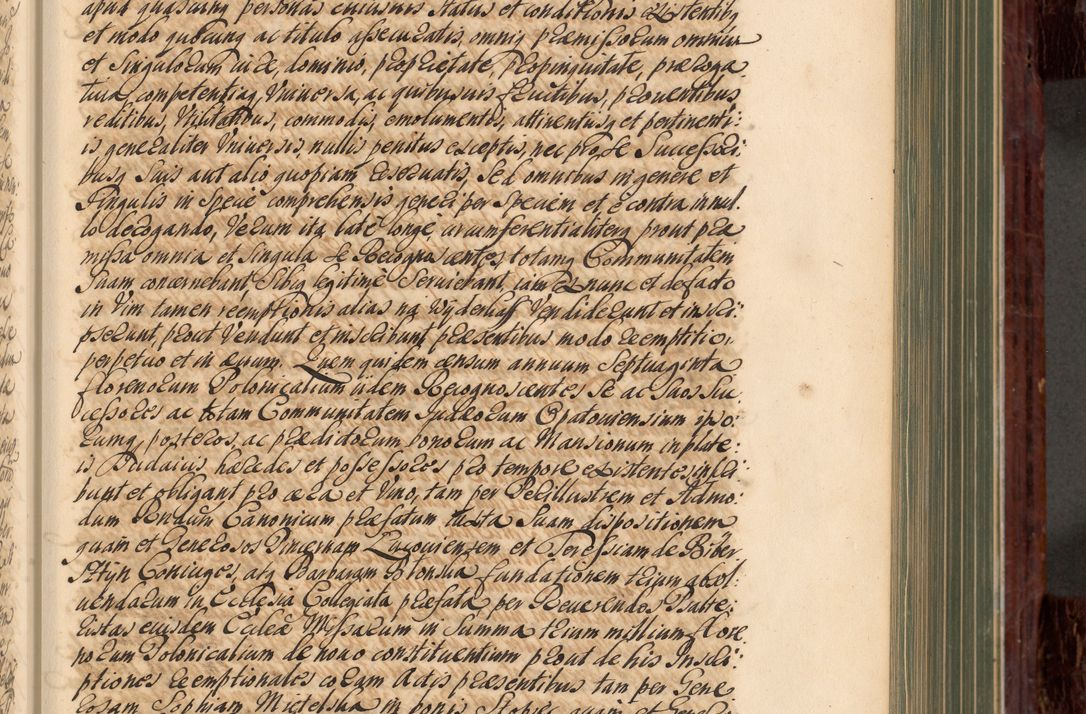 Zdjęcie nr 188 dla obiektu archiwalnego: Acta actorum episcopalium R. D. Joannis a Małachowice Małachowski, episcopi Cracoviensis a die 16 Julii anni 1688 et 1689 acticatorum. Volumen IV