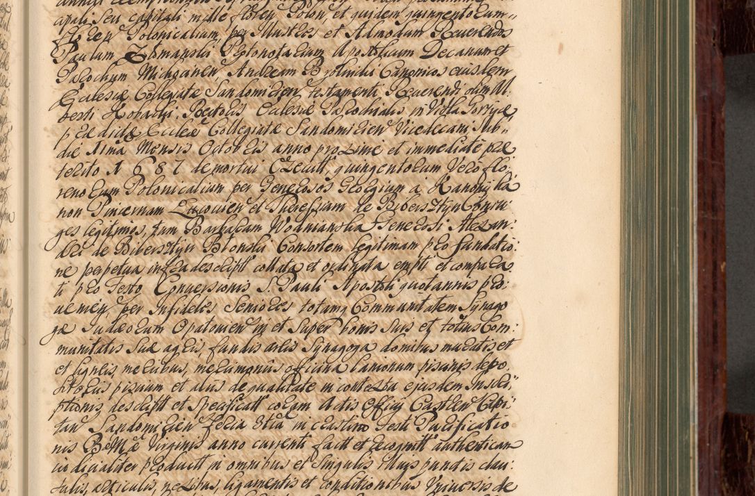 Zdjęcie nr 186 dla obiektu archiwalnego: Acta actorum episcopalium R. D. Joannis a Małachowice Małachowski, episcopi Cracoviensis a die 16 Julii anni 1688 et 1689 acticatorum. Volumen IV