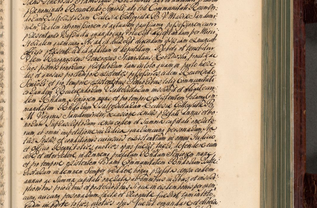 Zdjęcie nr 182 dla obiektu archiwalnego: Acta actorum episcopalium R. D. Joannis a Małachowice Małachowski, episcopi Cracoviensis a die 16 Julii anni 1688 et 1689 acticatorum. Volumen IV