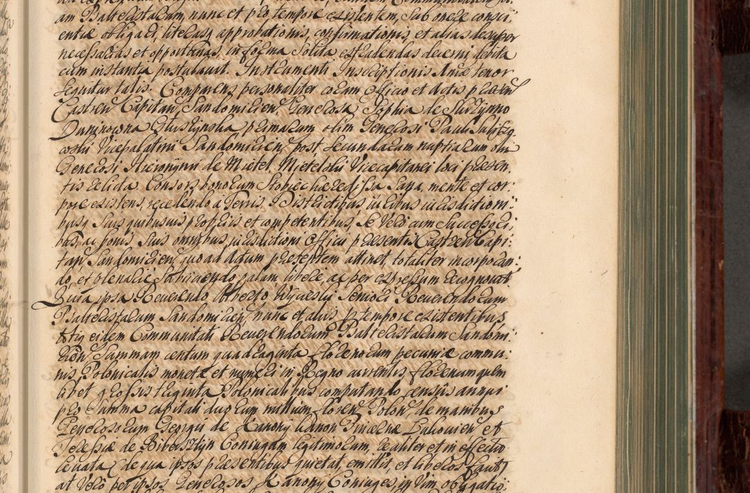 Zdjęcie nr 176 dla obiektu archiwalnego: Acta actorum episcopalium R. D. Joannis a Małachowice Małachowski, episcopi Cracoviensis a die 16 Julii anni 1688 et 1689 acticatorum. Volumen IV