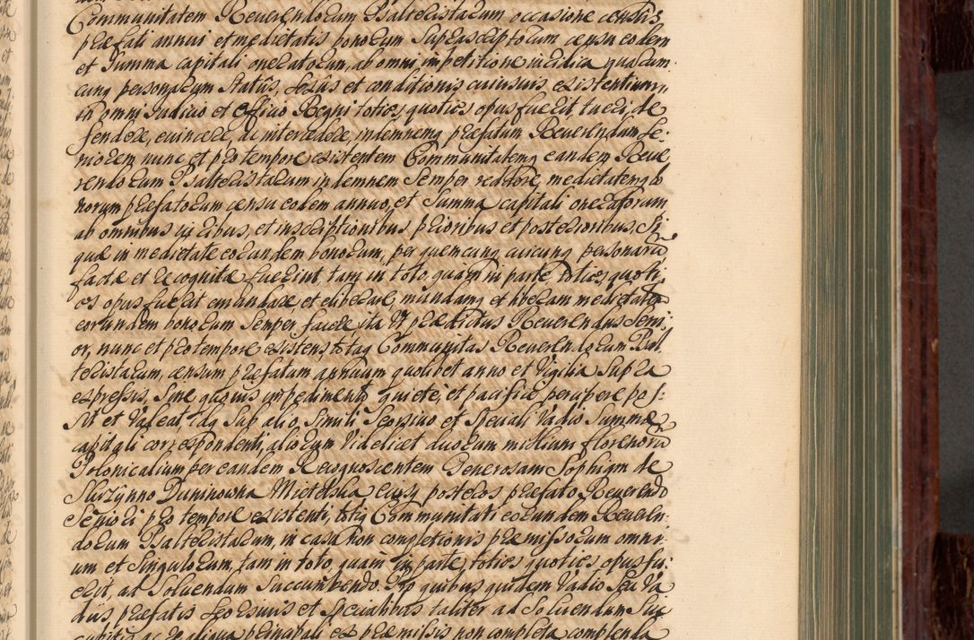Zdjęcie nr 178 dla obiektu archiwalnego: Acta actorum episcopalium R. D. Joannis a Małachowice Małachowski, episcopi Cracoviensis a die 16 Julii anni 1688 et 1689 acticatorum. Volumen IV