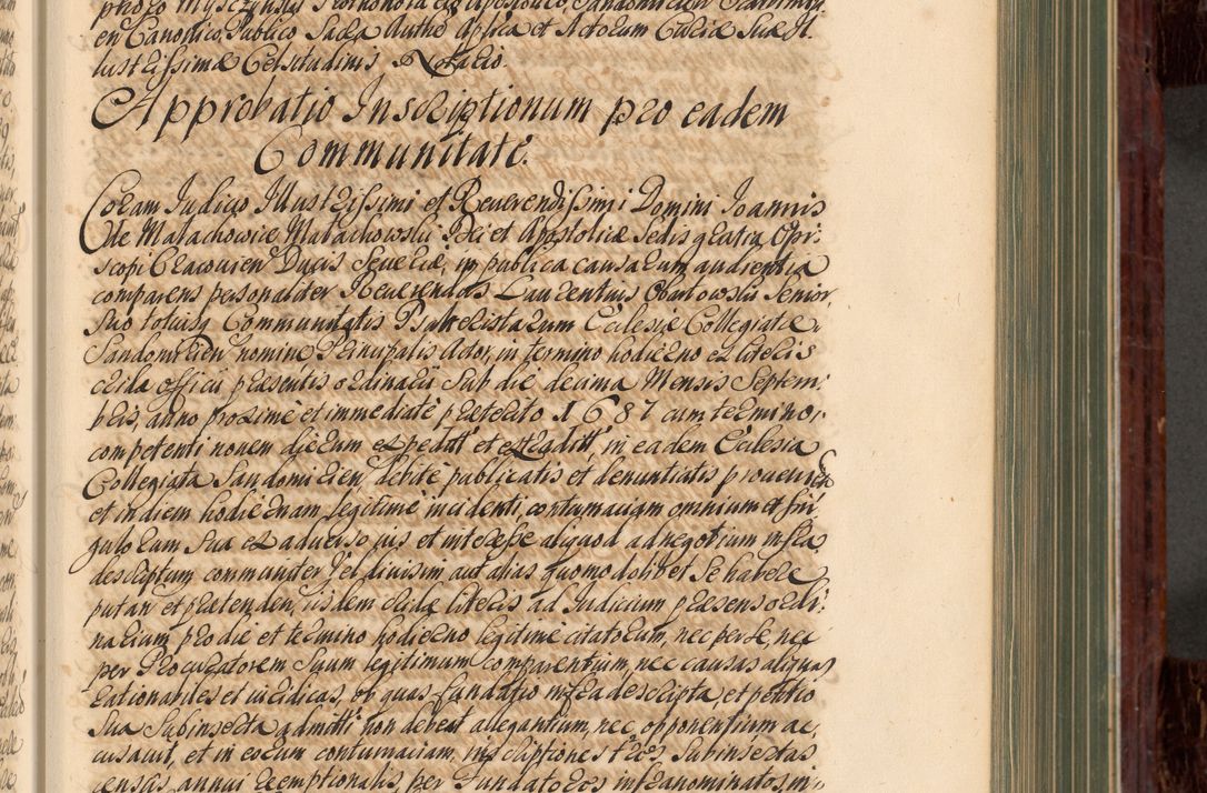 Zdjęcie nr 174 dla obiektu archiwalnego: Acta actorum episcopalium R. D. Joannis a Małachowice Małachowski, episcopi Cracoviensis a die 16 Julii anni 1688 et 1689 acticatorum. Volumen IV